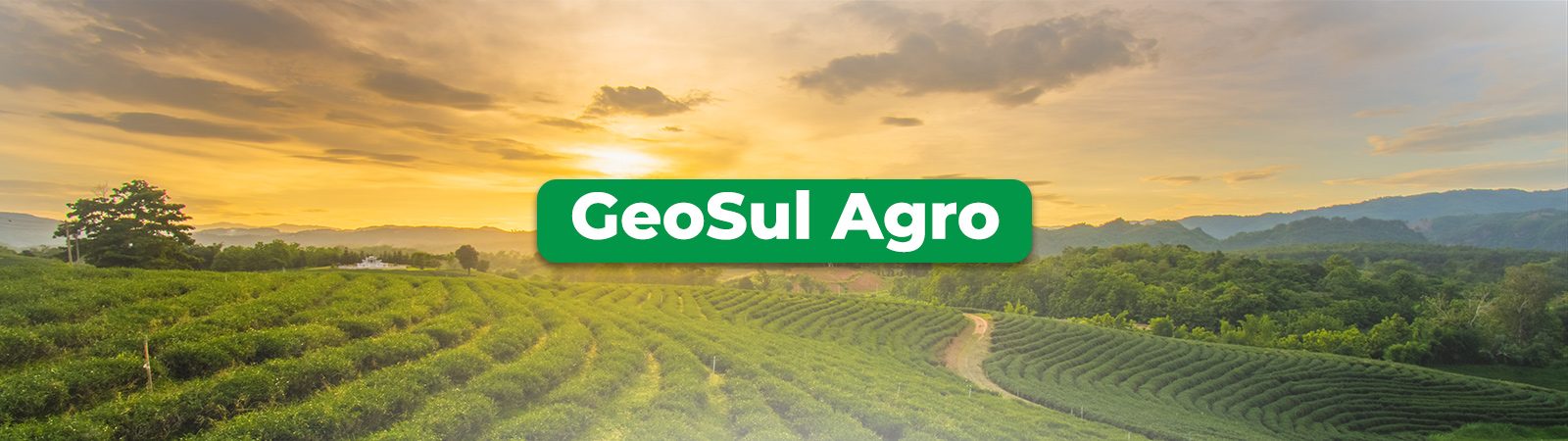 Banner Drenagem Agrícola - Geosul