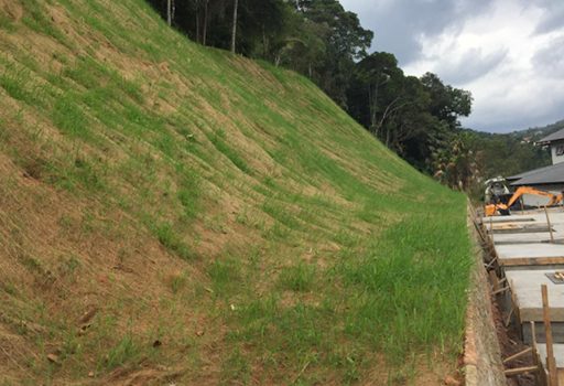 Biomanta Fibra de Coco