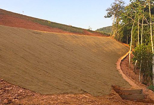 Biomanta Fibra de Coco