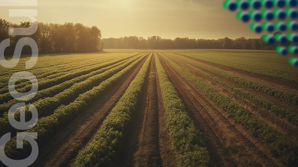 Drenagem Agrícola Sustentável